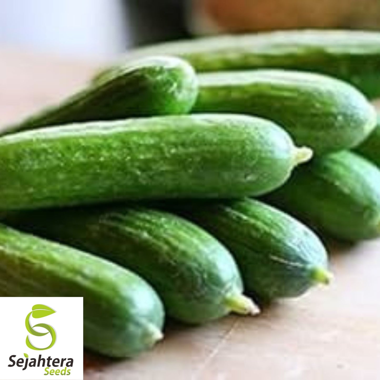 Giant Keystone Sweet Pepper Seeds - 100+ Heirloom, Organic, Non-GMO & Fresh