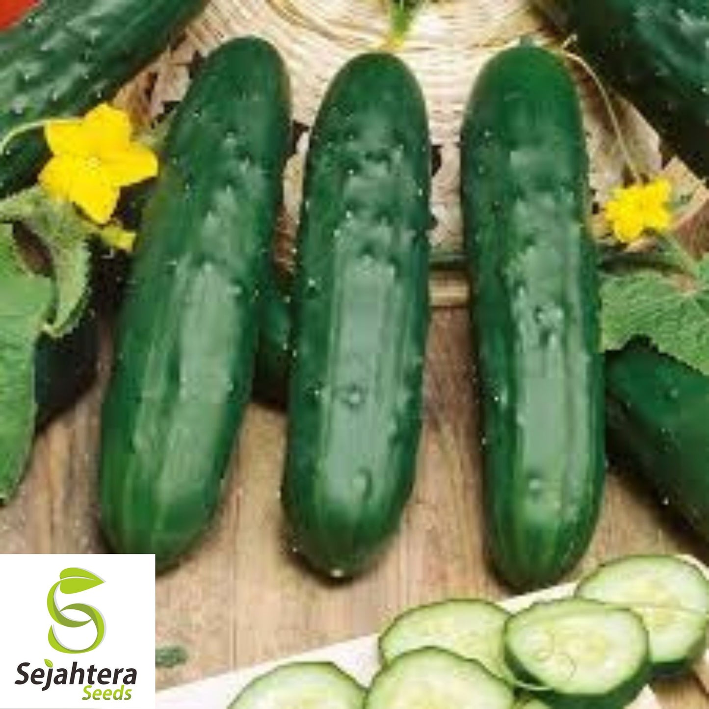 50+ Marketer Cucumber Seeds - Non-GMO, Crisp & Heirloom Variety