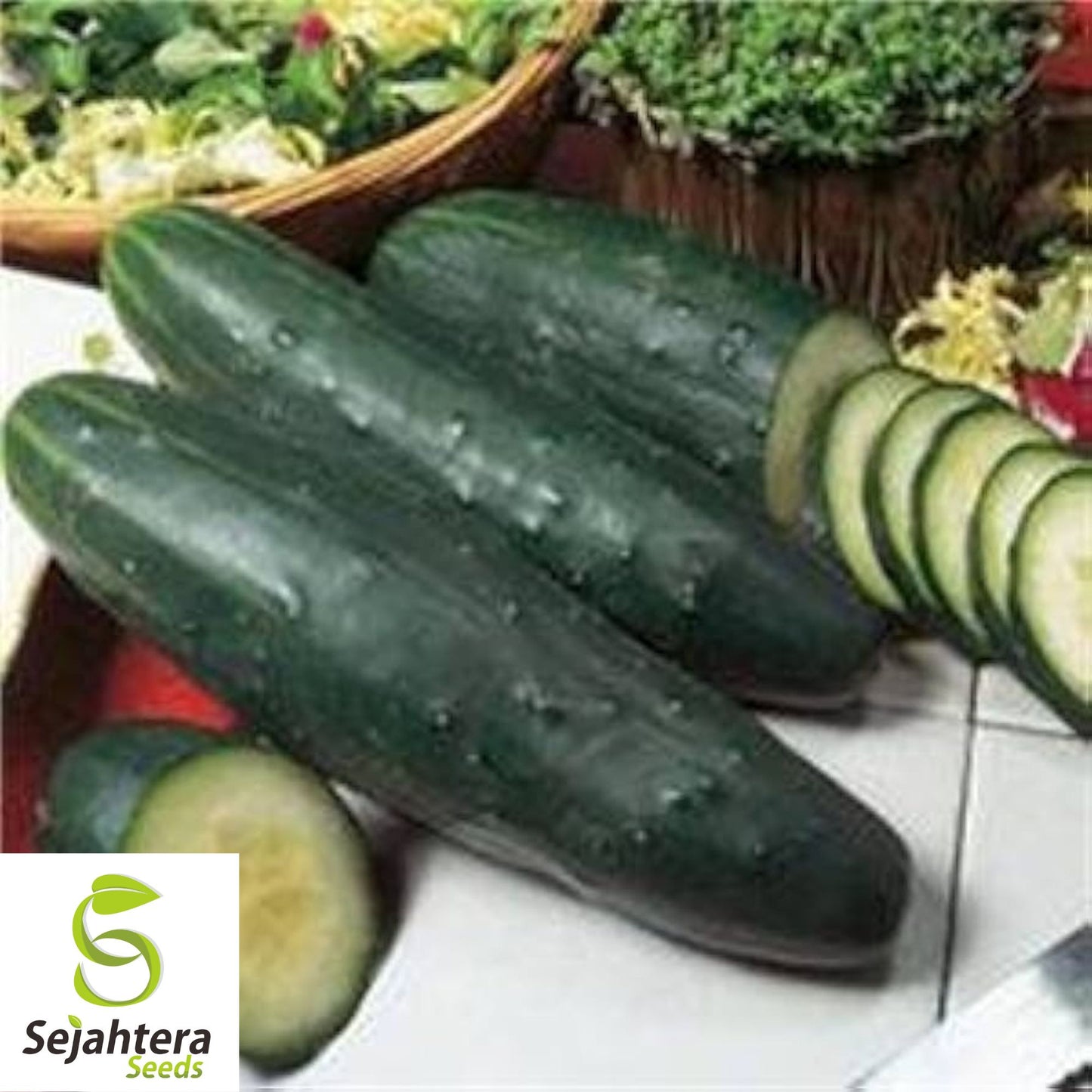 50+ Marketer Cucumber Seeds - Non-GMO, Crisp & Heirloom Variety