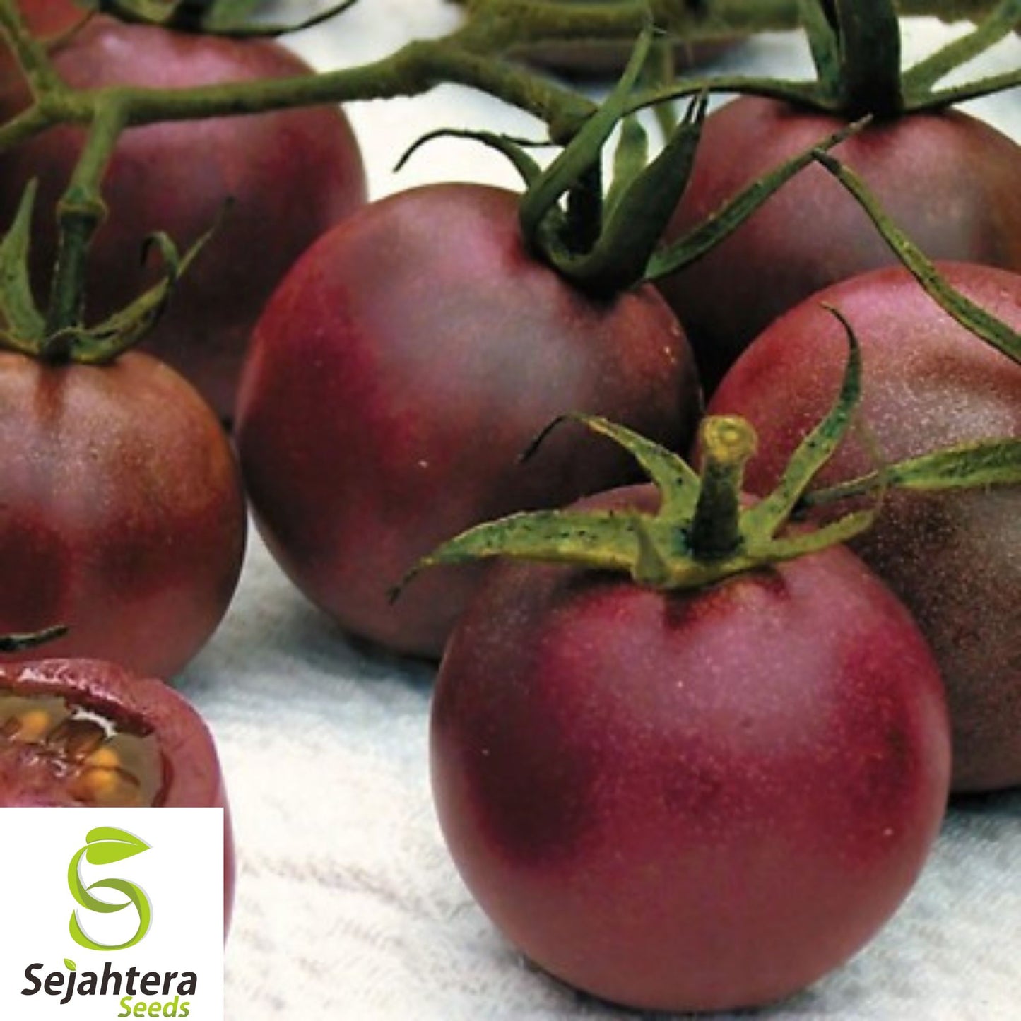 120+ Chocolate Cherry Tomato Seeds - Heirloom, Organic, Non-GMO, Super Sweet & Rare