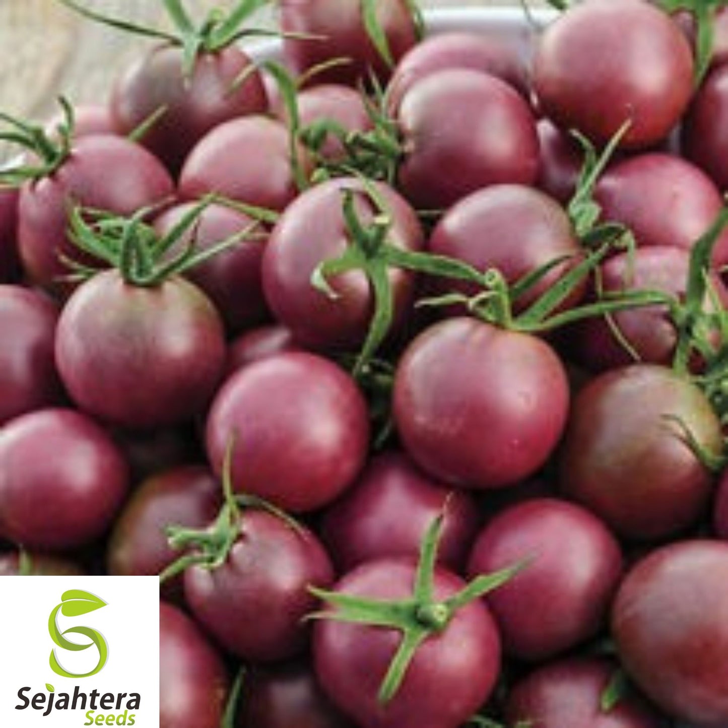 120+ Chocolate Cherry Tomato Seeds - Heirloom, Organic, Non-GMO, Super Sweet & Rare