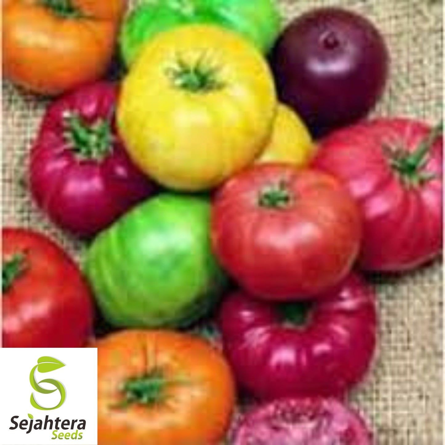 Rainbow Beefsteak Mix Tomato Seeds - 120+ Heirloom, Organic, Non-GMO & Fresh