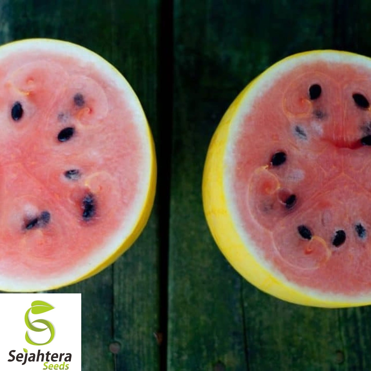 12+ Golden Midget Watermelon Seeds - Heirloom, Organic, Non-GMO, Mini & Sweet