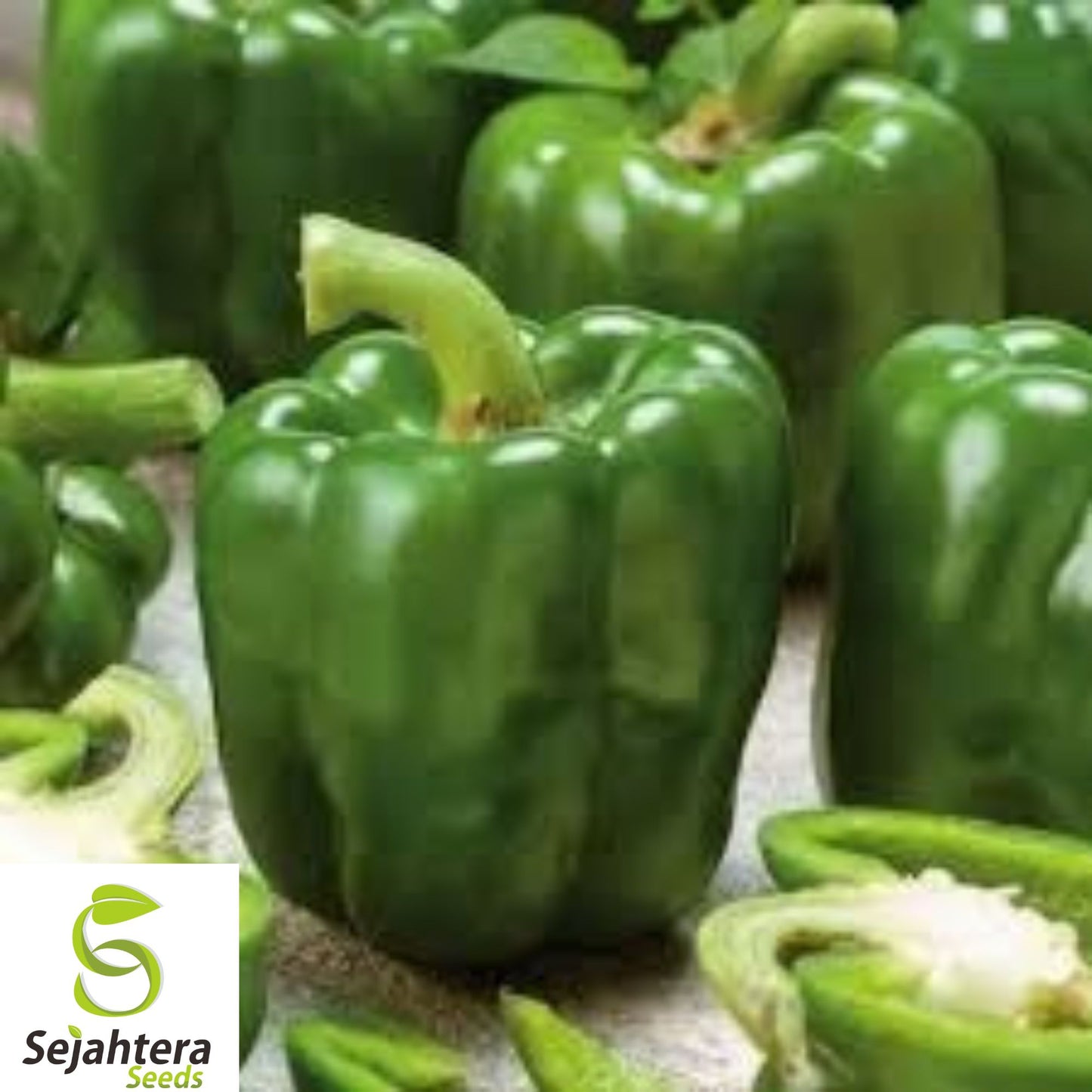 California Wonder Bell Pepper Seeds - 10+ Heirloom, Non-GMO, Fresh & Sweet