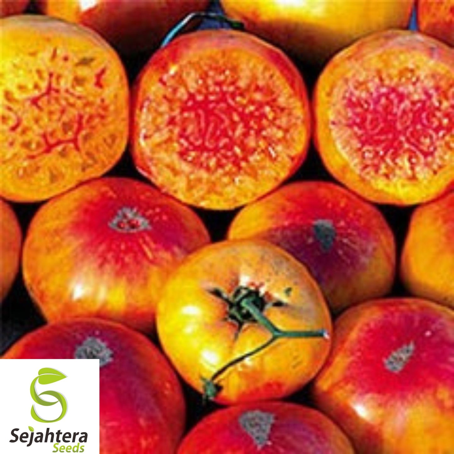 120+ Hillbilly Tomato Seeds - Heirloom, Organic, Non-GMO, Rare & Sweet Bicolor