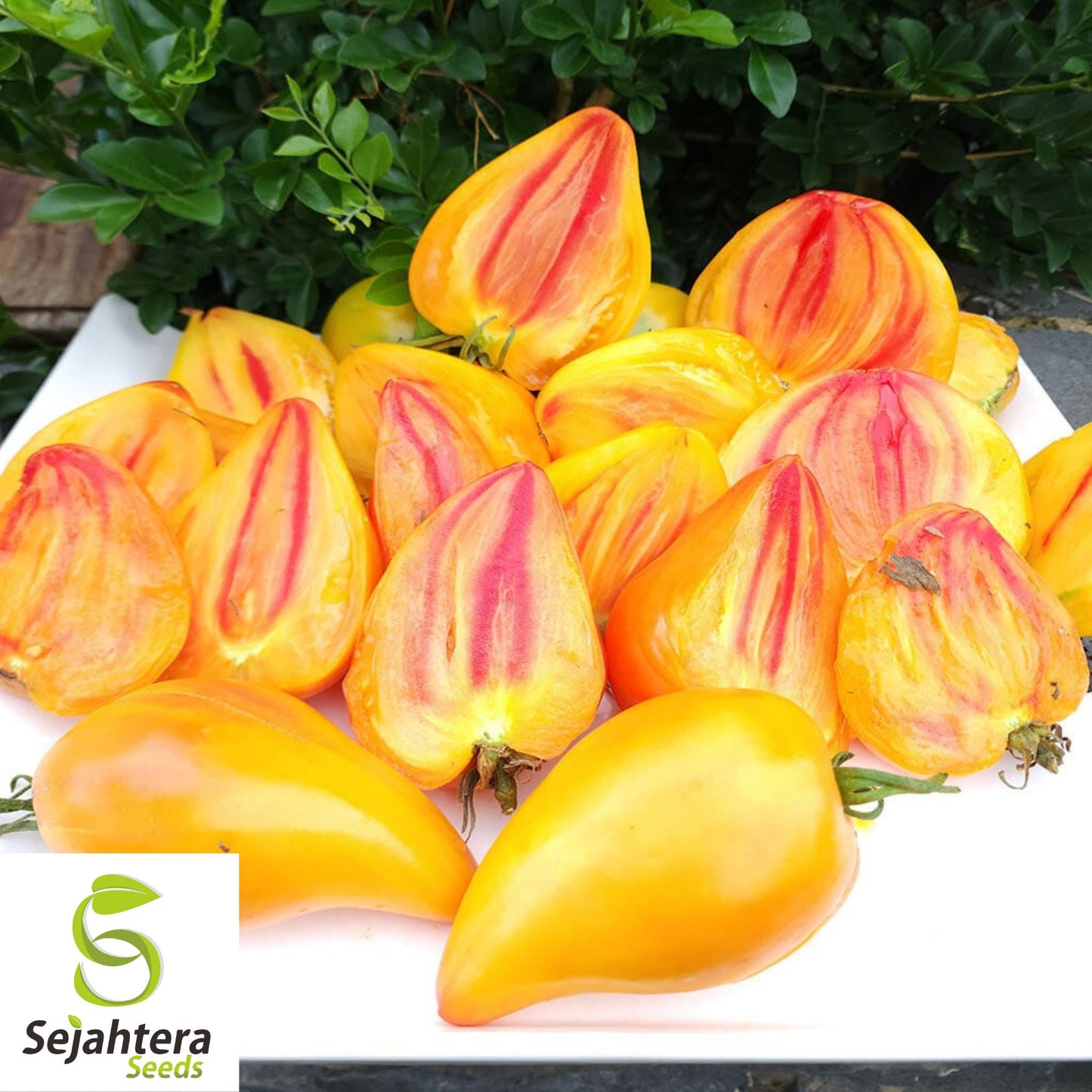 Orange Oxheart Tomato Seeds - 30+ Heirloom, Organic, Non-GMO & Rare