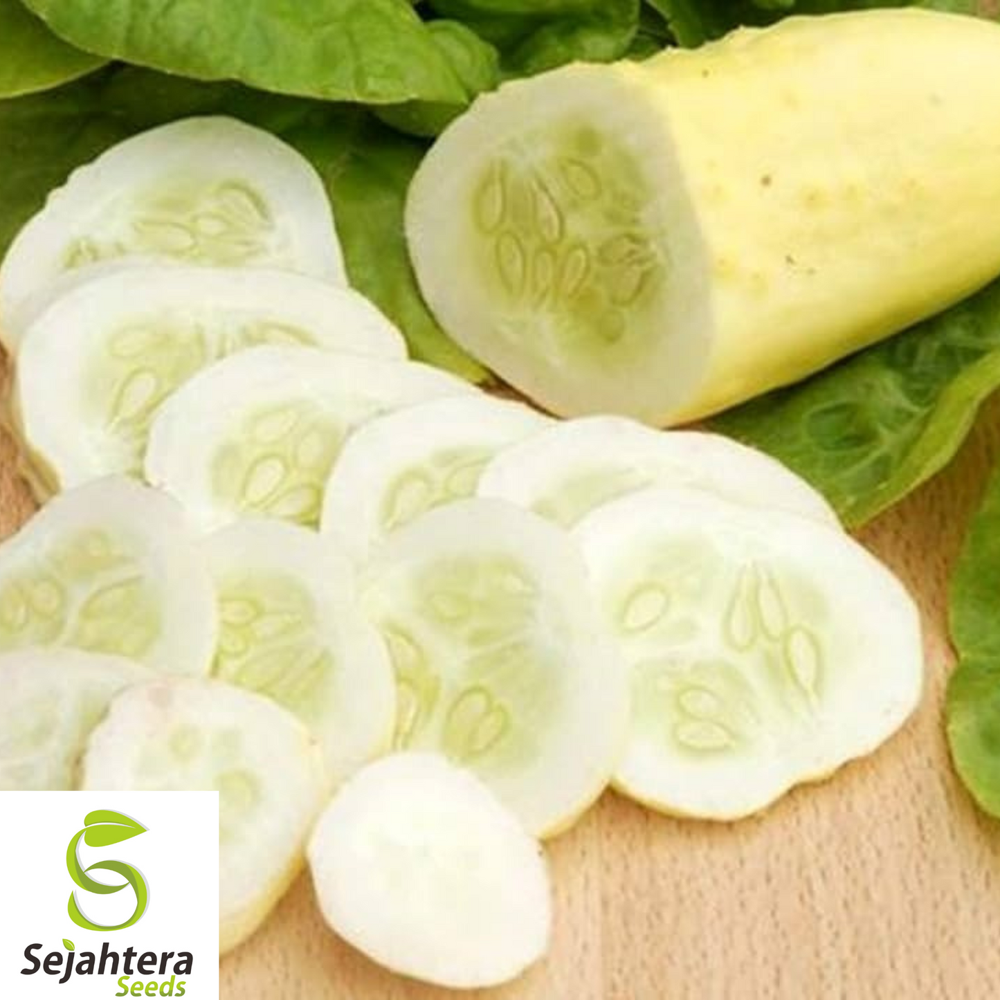 50+ White Wonder Cucumber Seeds - Heirloom, Non-GMO, Rare & Crisp White Variety