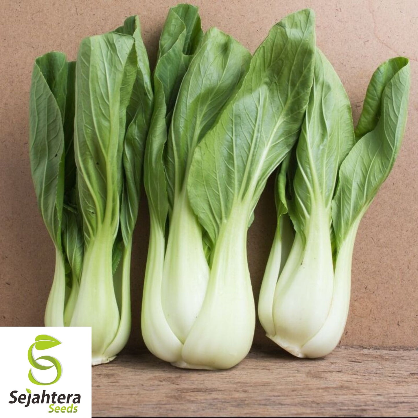 Pak Choi Extra Dwarf White Stem Seeds - 400+ Heirloom - Rare & Non-GMO