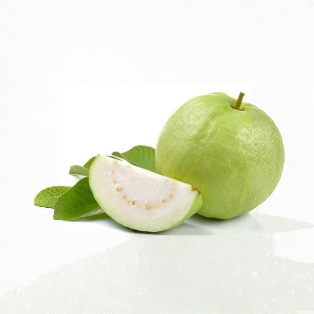 Thai Guava – Psidium guajava Live Tropical Fruit Tree | 1–2 Feet Tall | Includes 6" Pot Crisp White Flesh | Fast Growing | Backyard Favorite