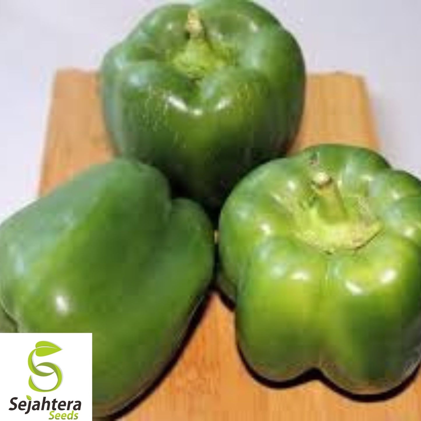 Giant Keystone Resistant Sweet Pepper Seeds - 100+ Heirloom, Organic, Non-GMO
