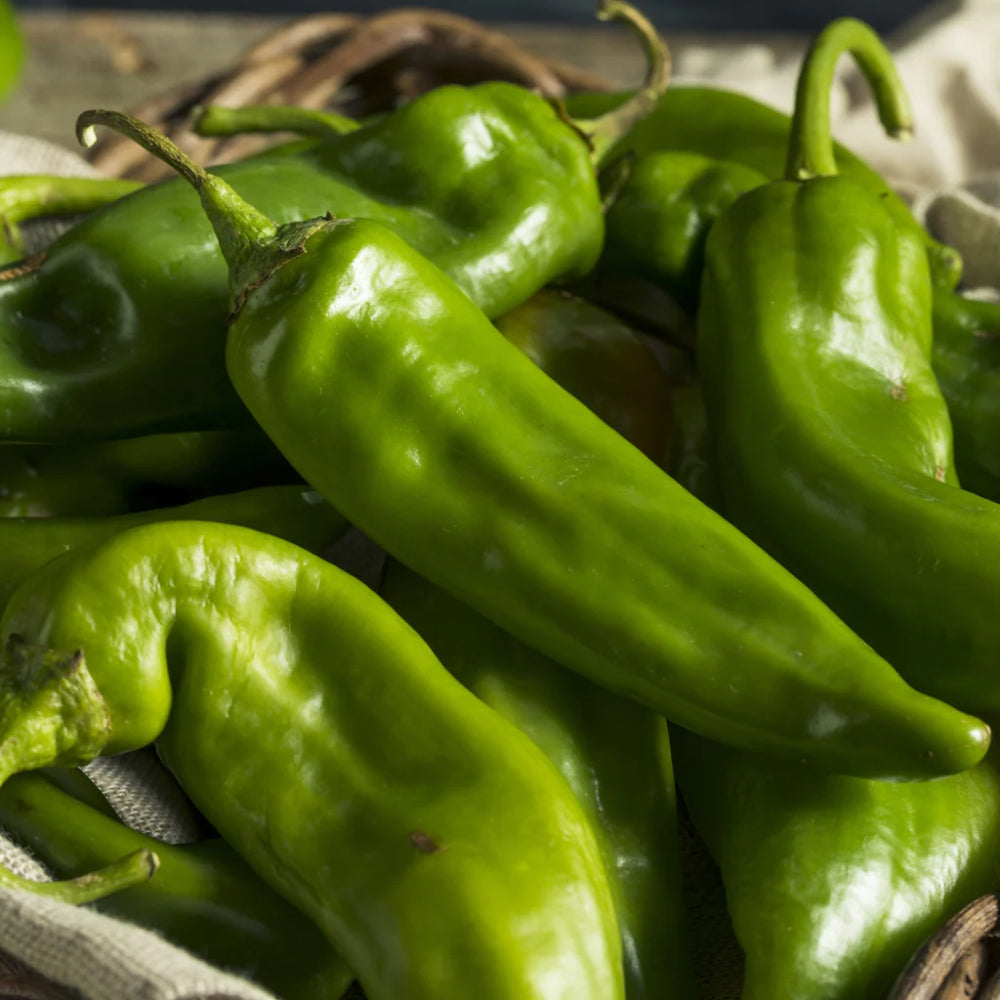 Barker Hot Pepper