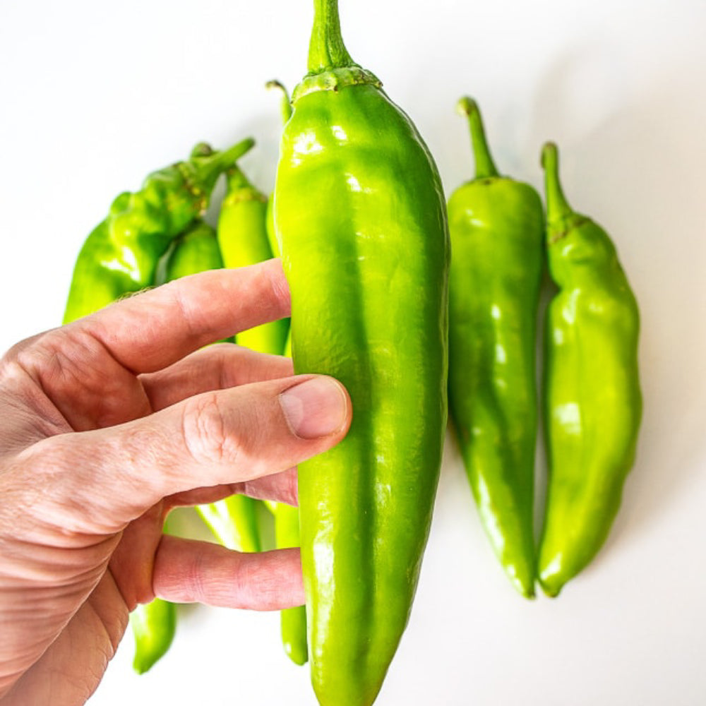 Barker Hot Pepper