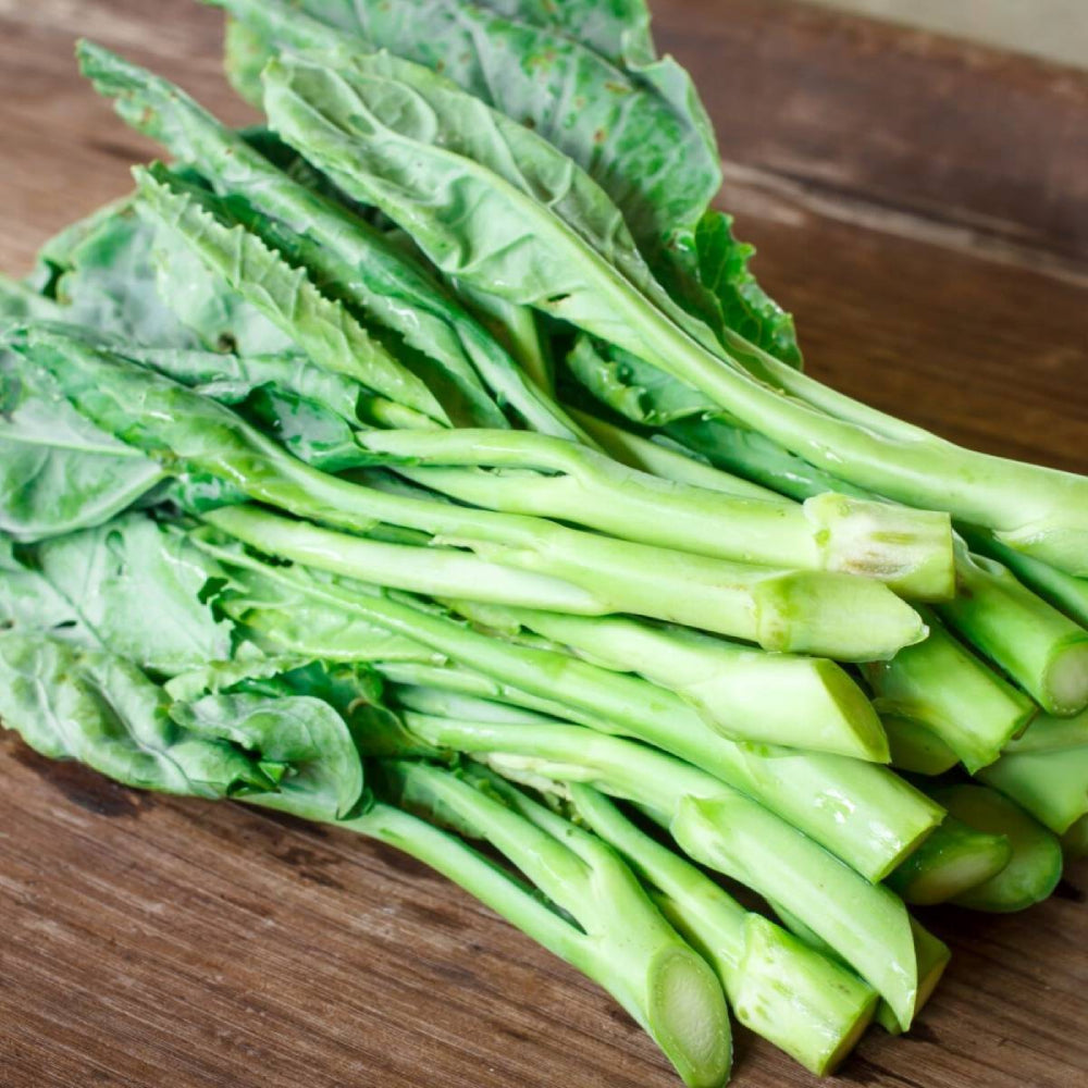 Chinese Broccoli Kailaan Open Pollinate