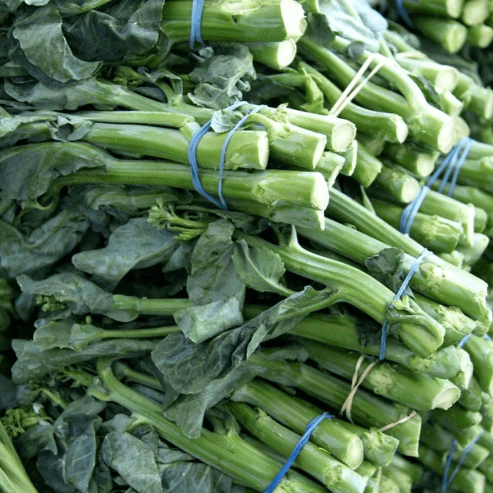 Chinese Broccoli Kailaan Open Pollinate