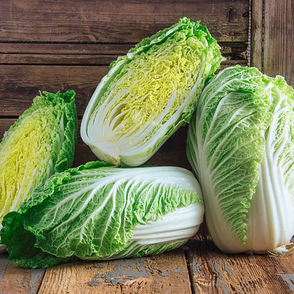 Chinese Cabbage Kogane
