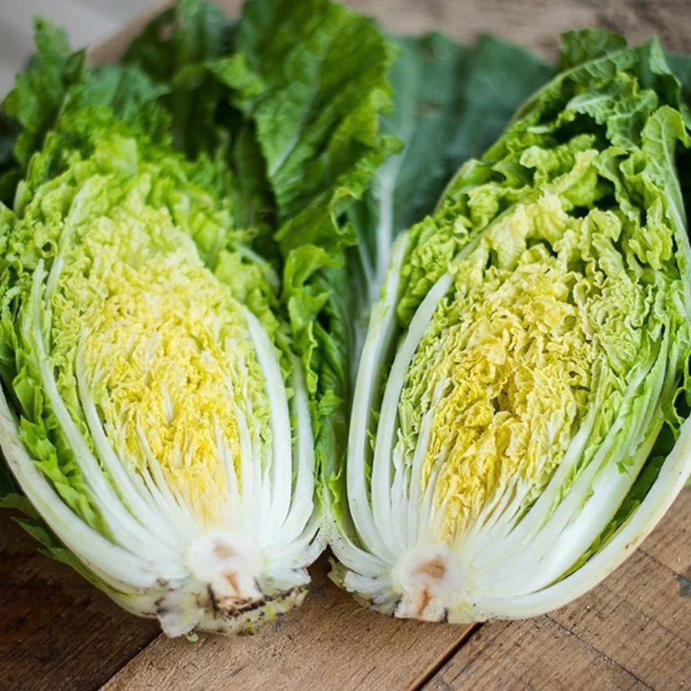 Chinese Heading Cabbage Michihli