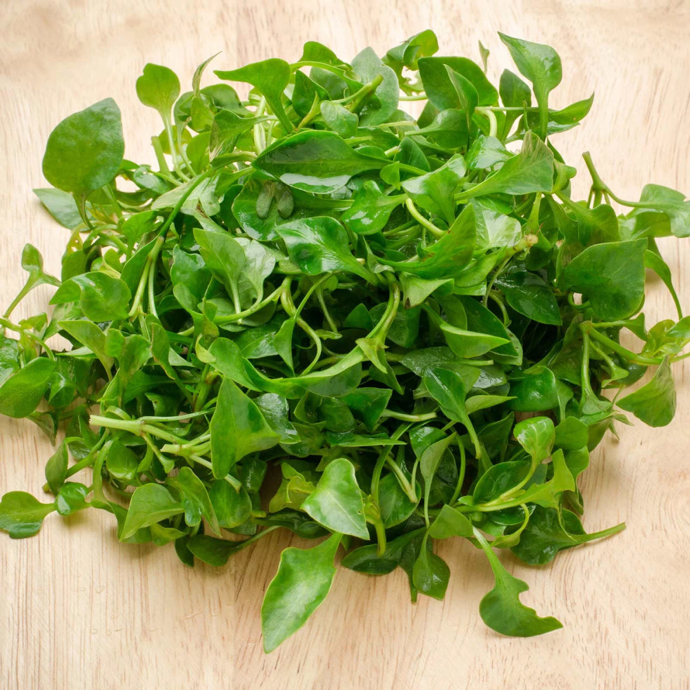 Cress Curled