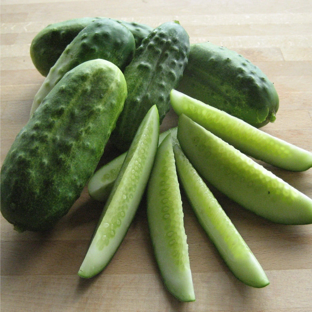 Cucumber National Pickling