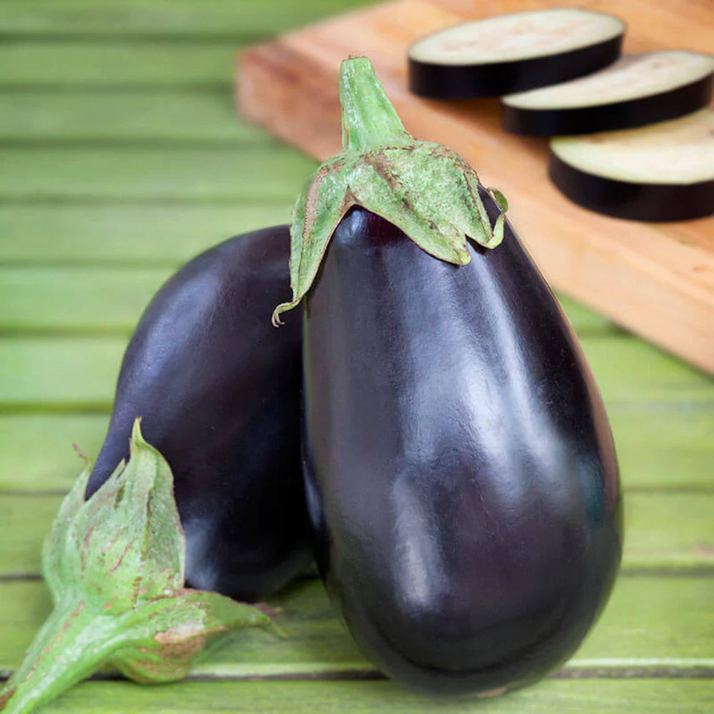 Eggplant Black Beauty