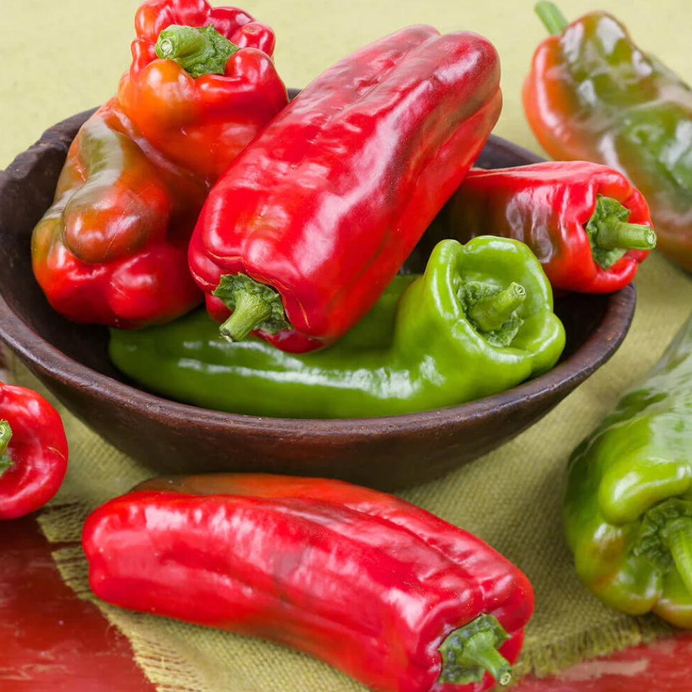 Giant Marconi Red Sweet Pepper