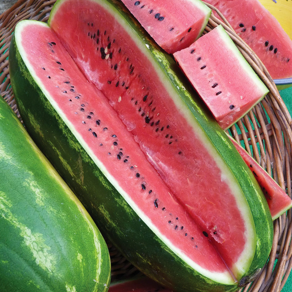 Jubilee Watermelon