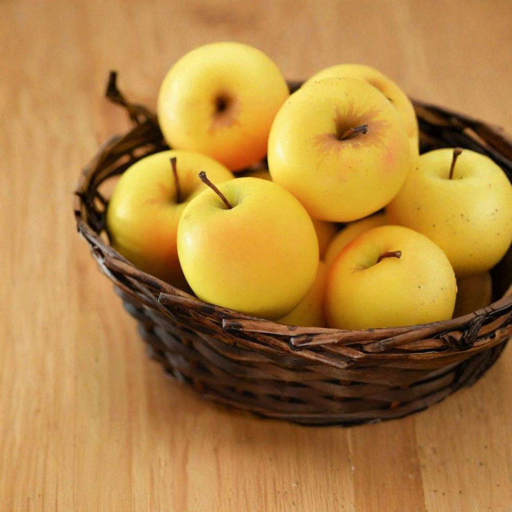 Apple Scionwood Cuttings – 5 Pack Fresh Grafting Scions | 8 Inch Dormant Wood | Apple Tree Grafting Starter
