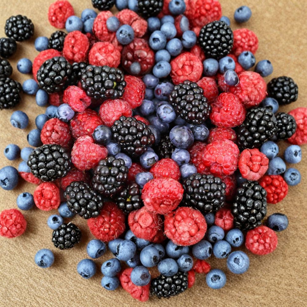 Berry Patch in a Box – 12 Live Berry Plants | Blueberry Raspberry Blackberry Boysenberry Garden Starter Collection