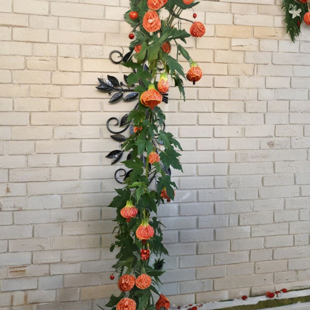 Tiger Eye Abutilon Plant – Live Rooted Starter Plant in Pot | Flowering Maple | Orange Yellow Blooming Plant | Indoor Outdoor Garden