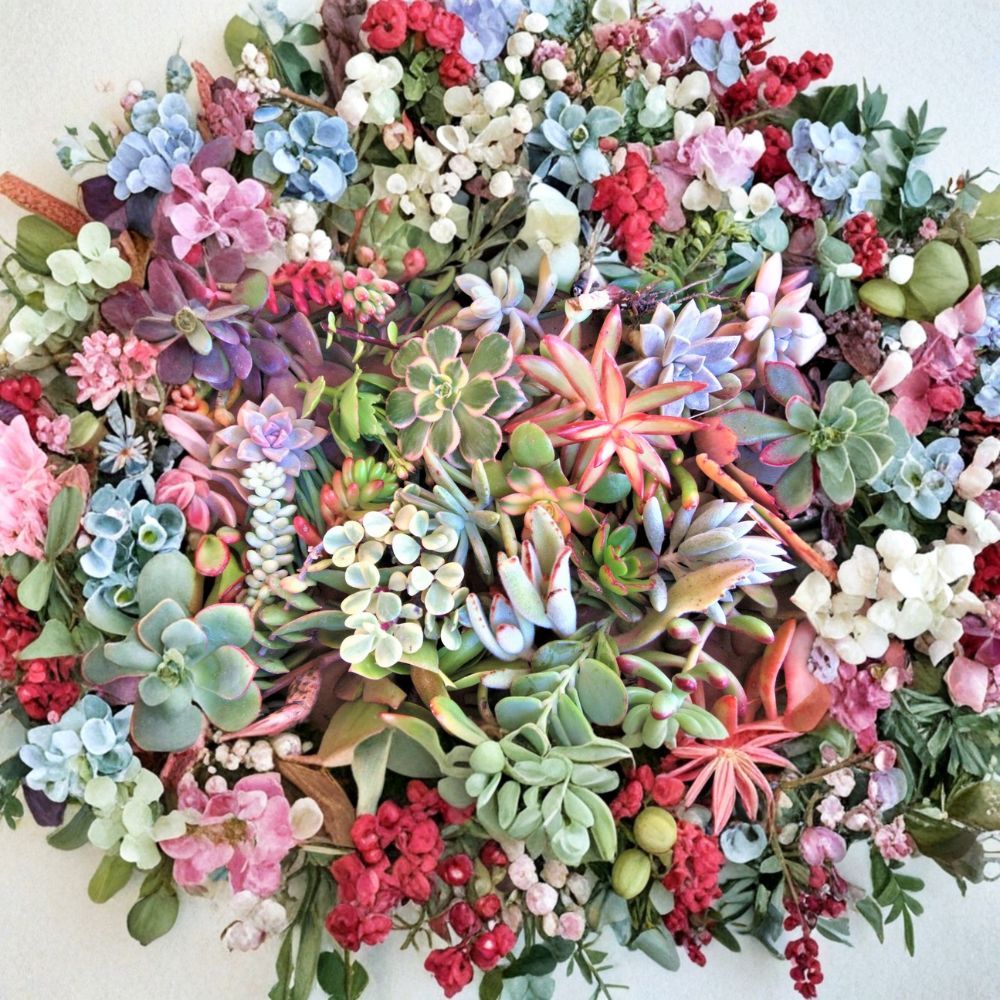 20 Succulent Cuttings – 20 Varieties Live Plants | 2–5 Inch Mixed Succulent Bundle | Assorted Rosettes for Crafts & Garden
