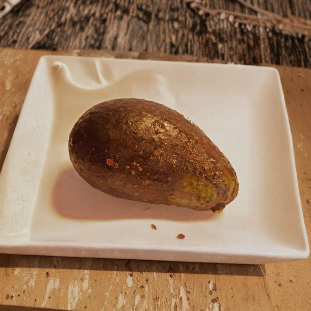Sharwil Avocado Tree – Persea americana Live Grafted Tree | 1 Foot Tall | Shipped in Plastic Grow Bag Premium Hawaiian Variety | Rich Buttery Flavor | High Oil Content