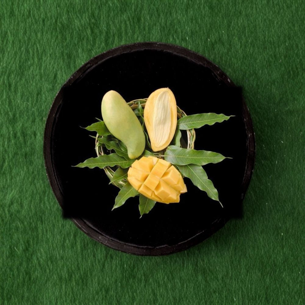 Nam Doc Mai Mango – Mangifera indica Grafted Live Tree | 1 Foot Tall | Ships in 6” Pot Premium Thai Variety | Sweet Fiberless Fruit | Backyard Friendly