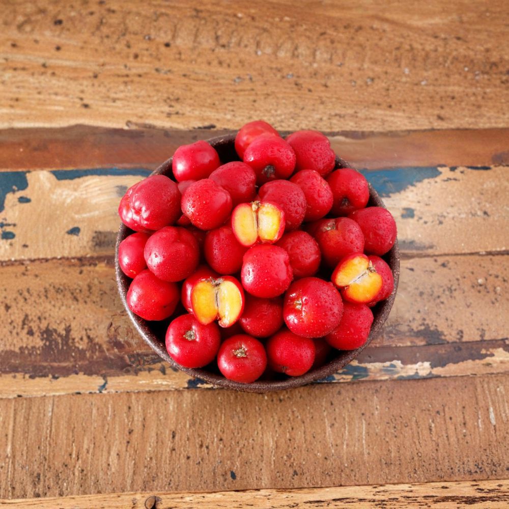 Barbados Cherry Plant – Acerola Live Tree in 4 Inch Pot | Malpighia Emarginata Fruit Plant | Organic Tropical Starter | Fast Fruiting