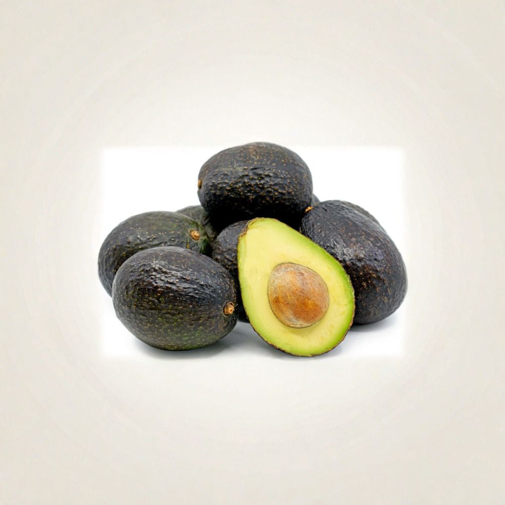 Hass Avocado Tree – Persea americana Live Grafted Tree | 3–4 Feet Tall | Bigger Trunk Creamy Hass Avocados | Premium Variety | Strong Established Tree