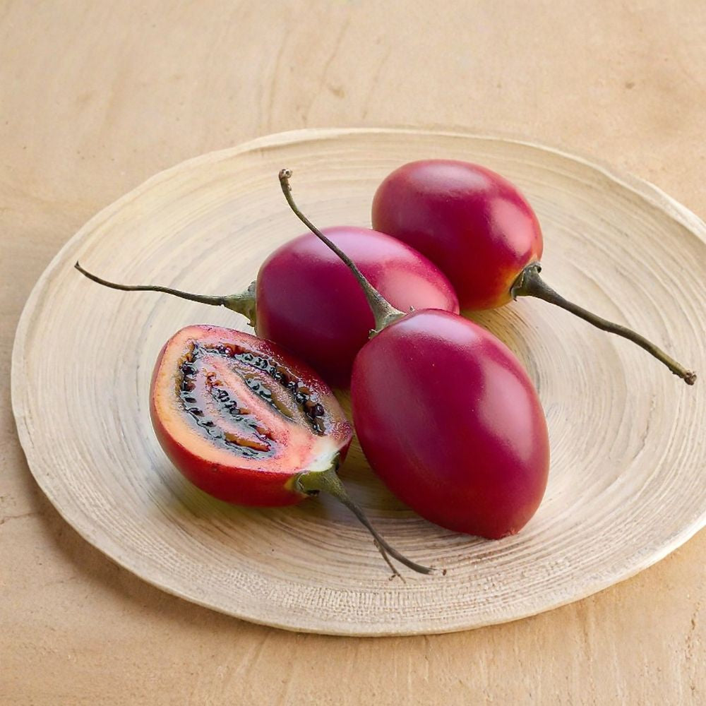 Tamarillo (Tree Tomato) – Cyphomandra betacea 10 Seeds | Edible & Fast Growing Fruit Tree Exotic Subtropical Fruit | Fragrant Flowers | Home Garden Favorite