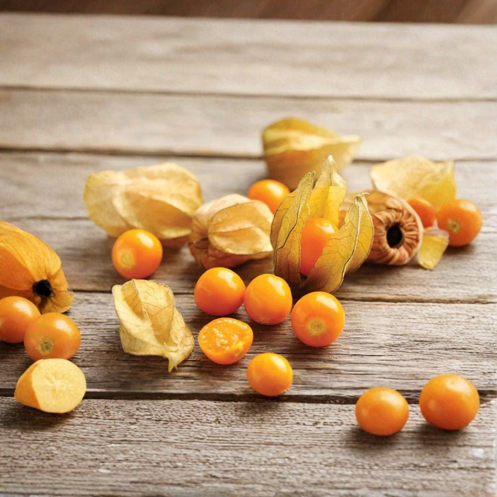 Strawberry Ground Cherry – Physalis pruinosa 200+ Heirloom Seeds | Sweet Tropical Flavor | 2026 Packed Golden Husked Fruit | Easy to Grow | Container Friendly