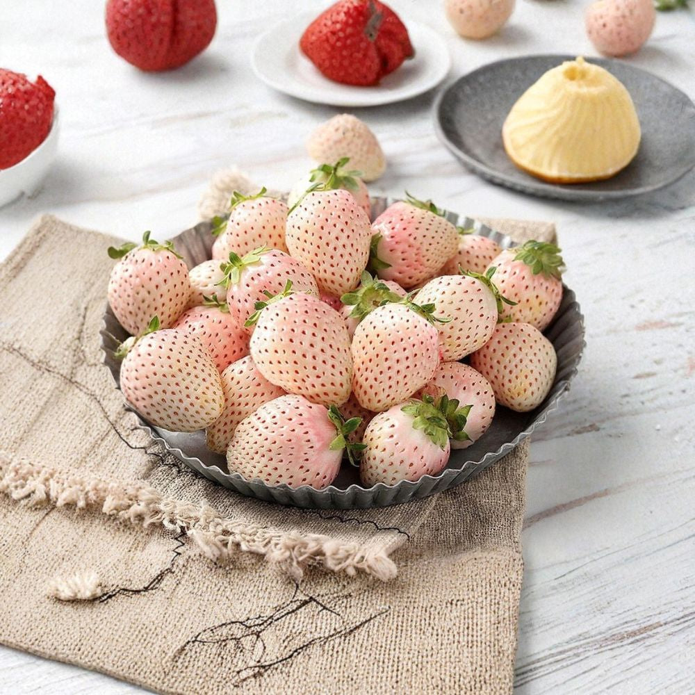 White Strawberry Seeds – Fragaria × ananassa 100+ Heirloom Seeds | Pineberry Type | Non-GMO Creamy White Fruit | Tropical Sweet Flavor | Container Garden Friendly