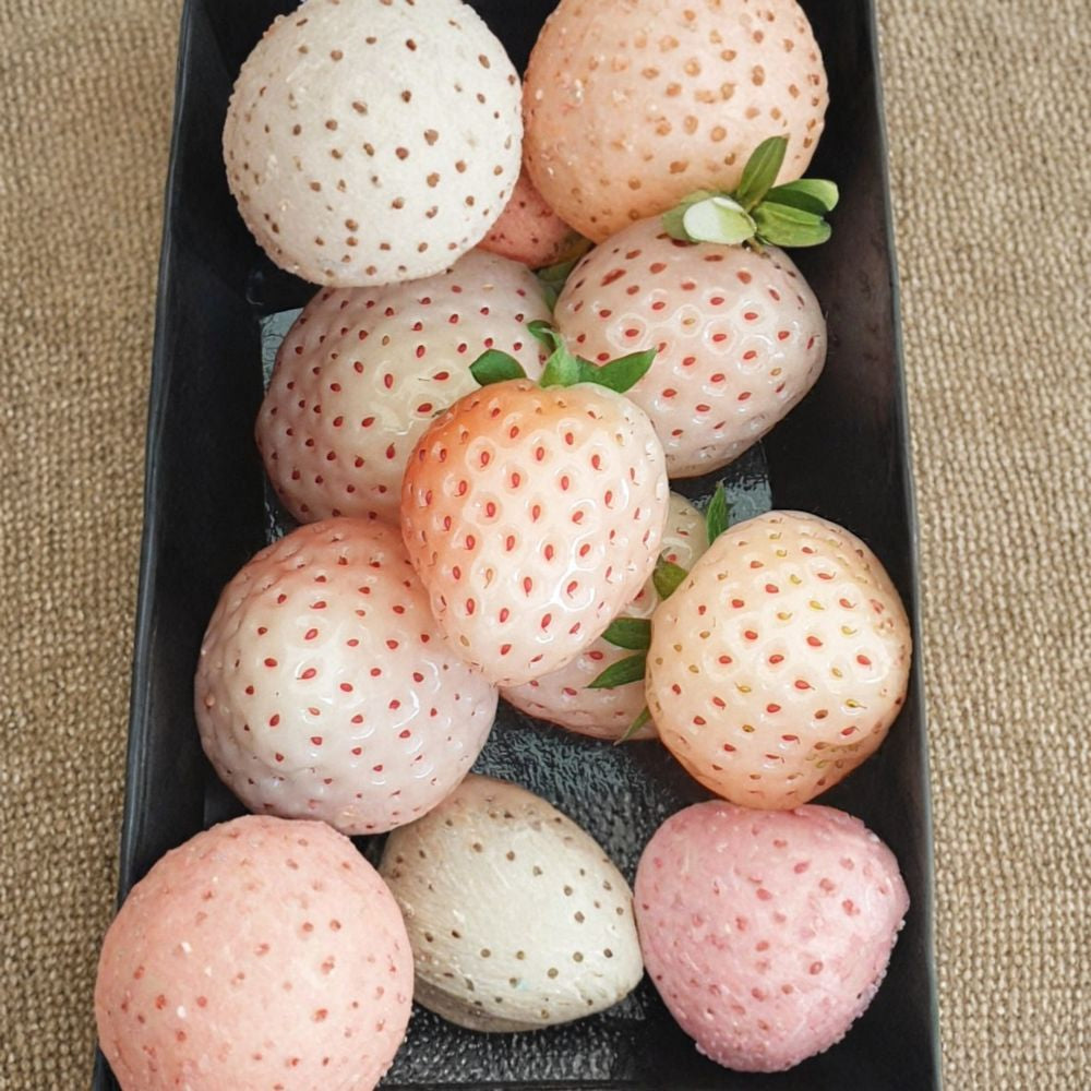 White Pineberry (Pineapple Strawberry) – Fragaria x ananassa 10 Live Bare Root Plants | Everbearing Variety | State Certified White Strawberries | Tropical Pineapple Flavor | Unique Garden Favorite