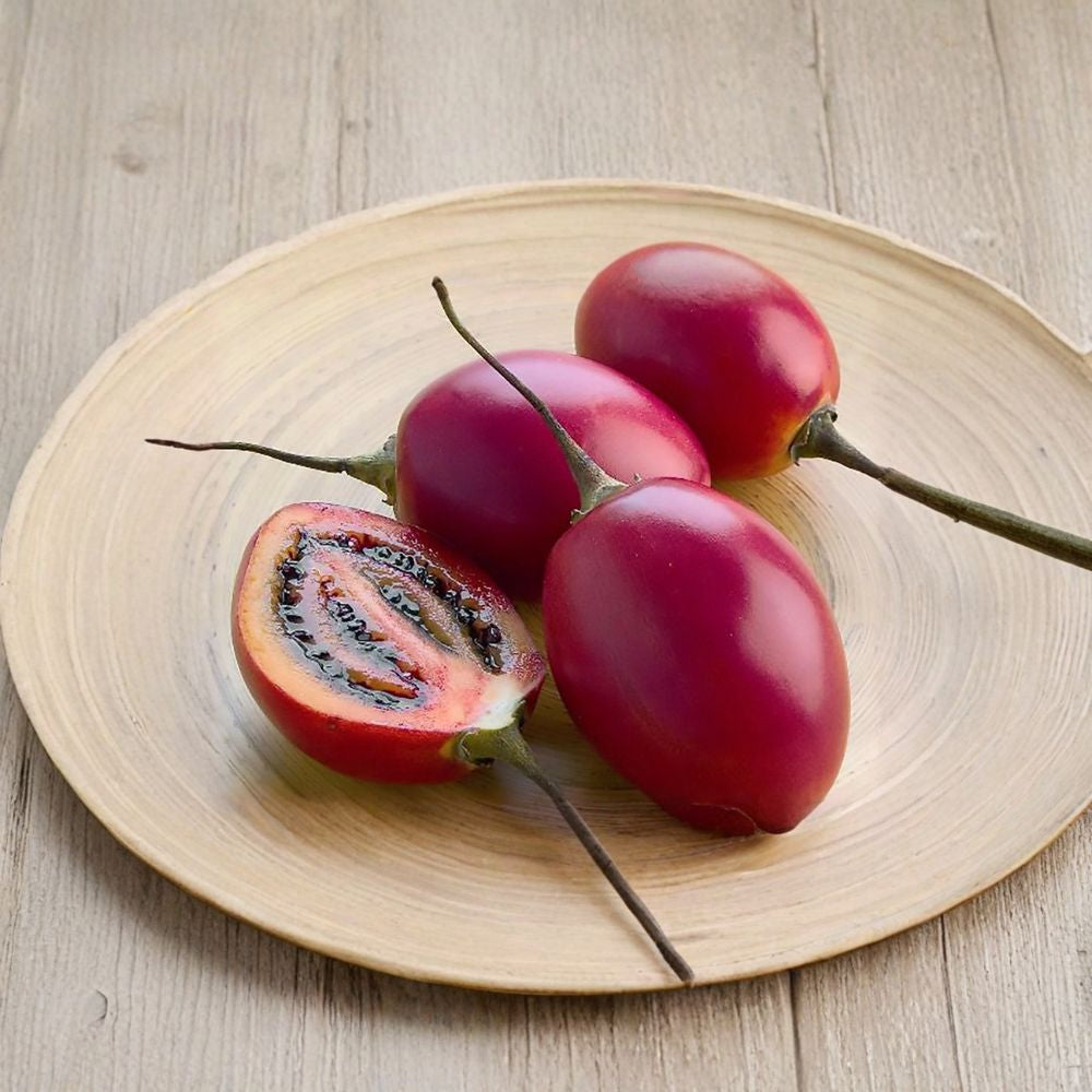 Tamarillo (Tree Tomato) – Cyphomandra betacea 60 Seeds | Fast Growing Subtropical Fruit Tree Exotic Edible Fruit | Fragrant Flowers | High Yield Potential