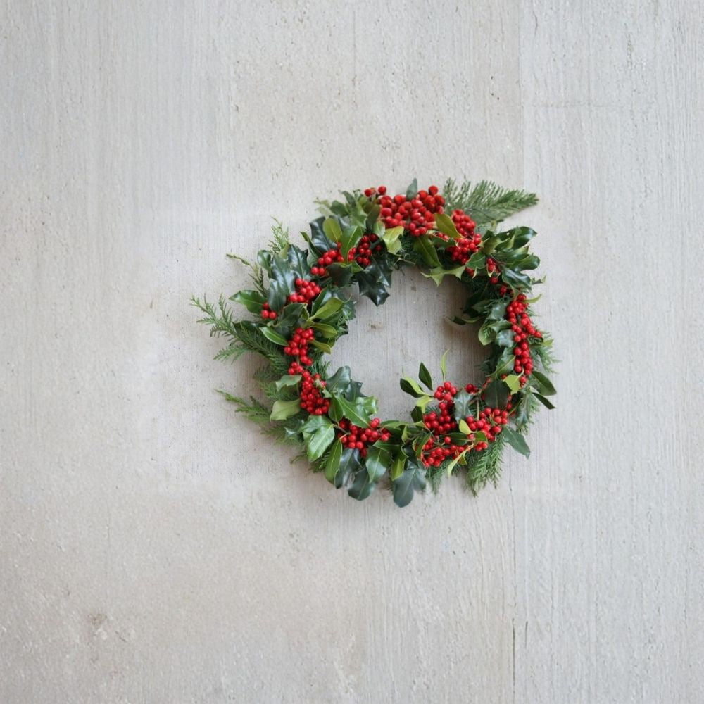 English Holly – Ilex aquifolium Tree Seeds | 480 Seeds | Evergreen Berry Tree | Winter Interest Hedge | Wildlife Friendly