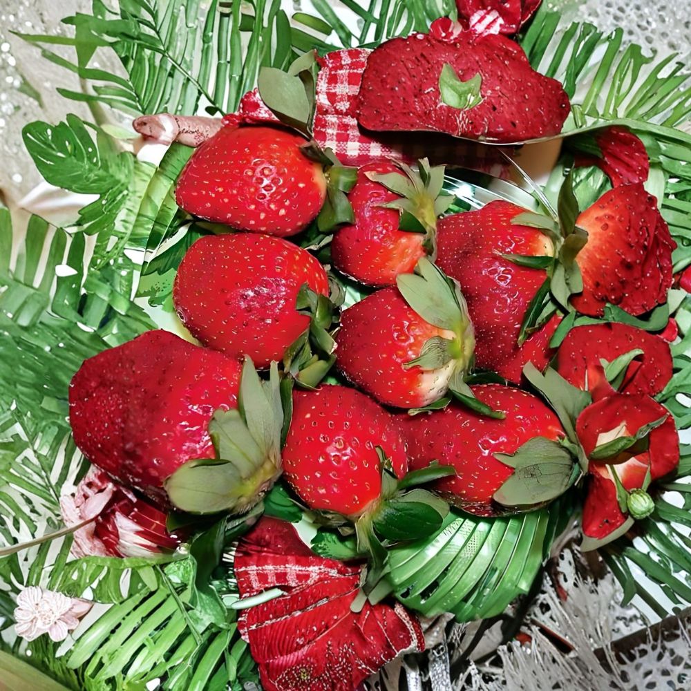 Honeoye Strawberry Plants – 20 Live Bare Root Starts | Sweet Early Season Strawberries | High Yield Garden Fruit | Easy to Grow