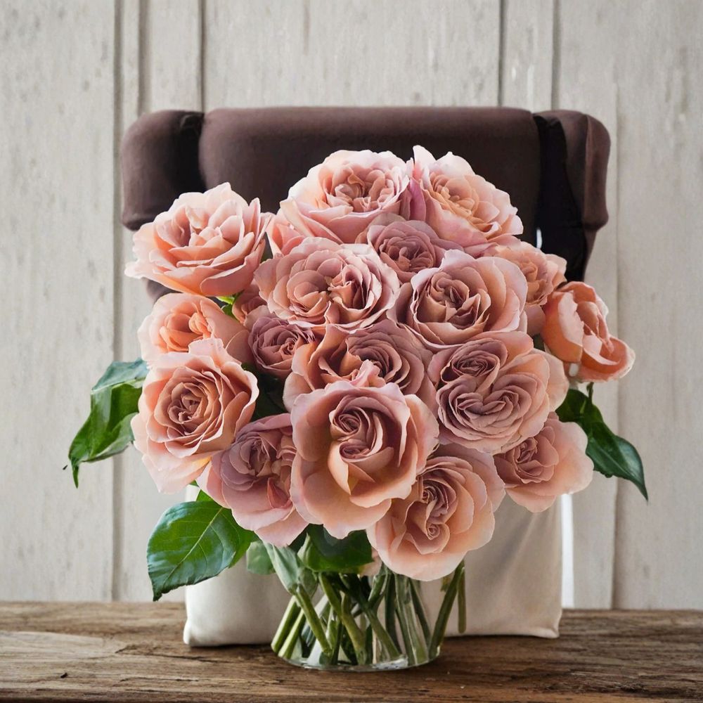 Café Latte Rose – Rare Rose Cuttings | 3 Fresh Unrooted Cuttings | Mocha Brown Garden Rose | Cuttings for Rooting or Grafting