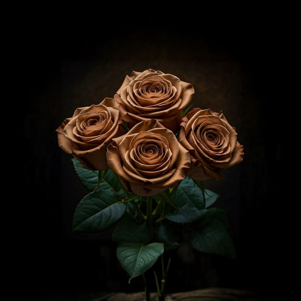 Walnut Mocha Mousse Rose – Rare Rose Cuttings | 3 Fresh Unrooted Cuttings | Mocha Brown Garden Rose | Cuttings for Rooting or Grafting