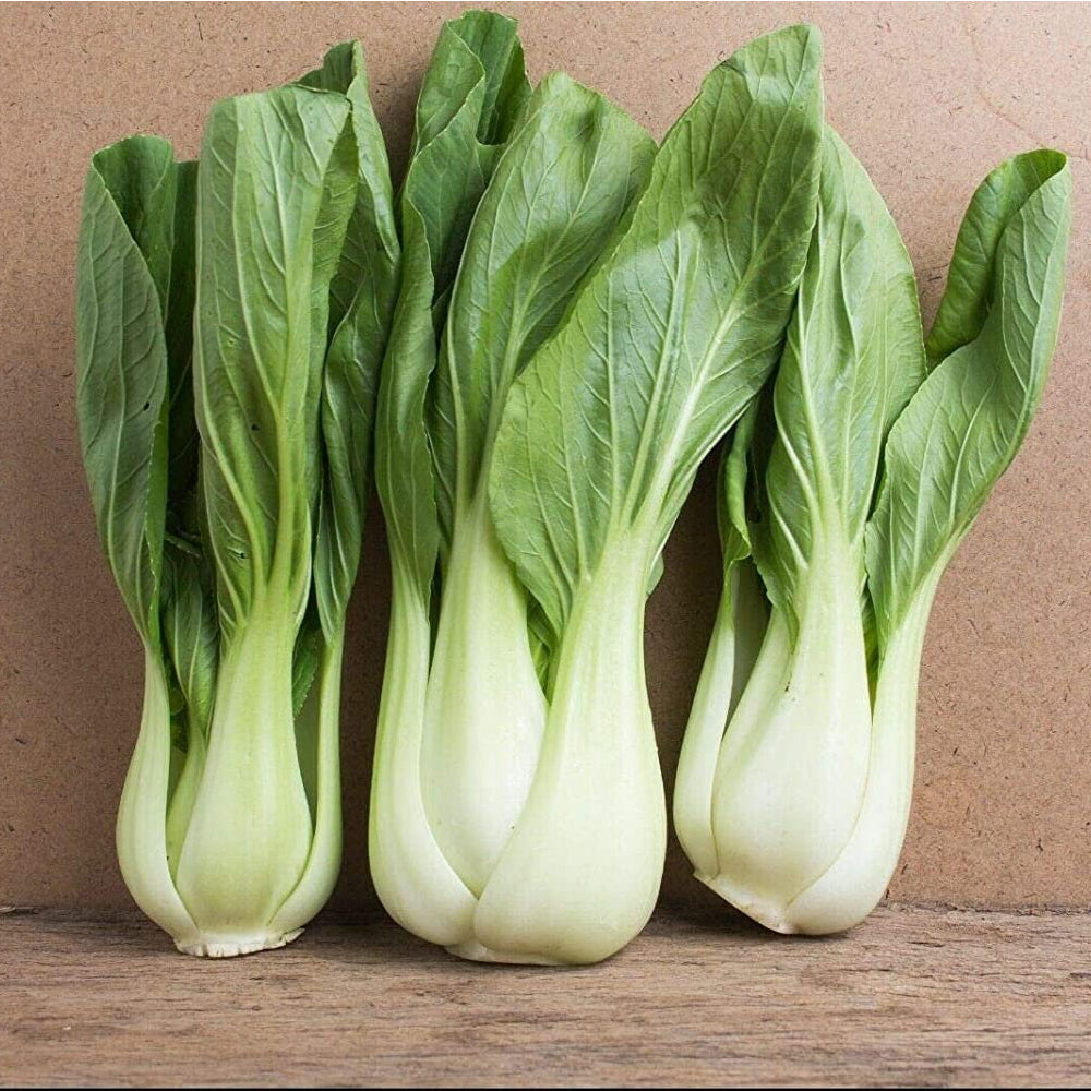 Pak Choi - Bok Choi Taisai