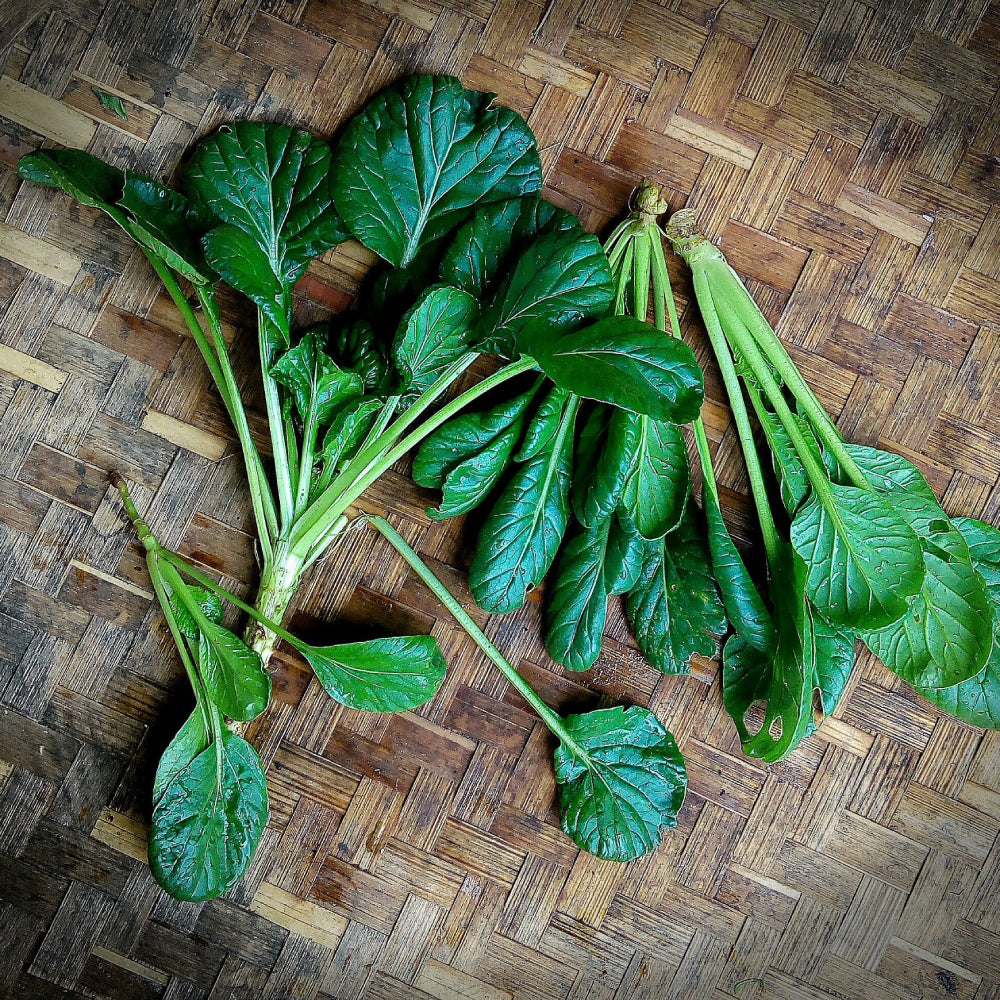Pak Choi - Tatsoi