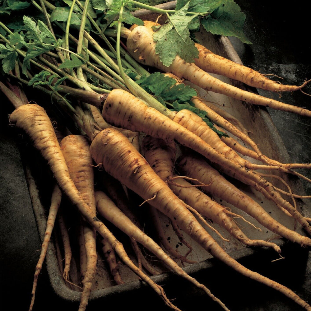 Parsnip All American