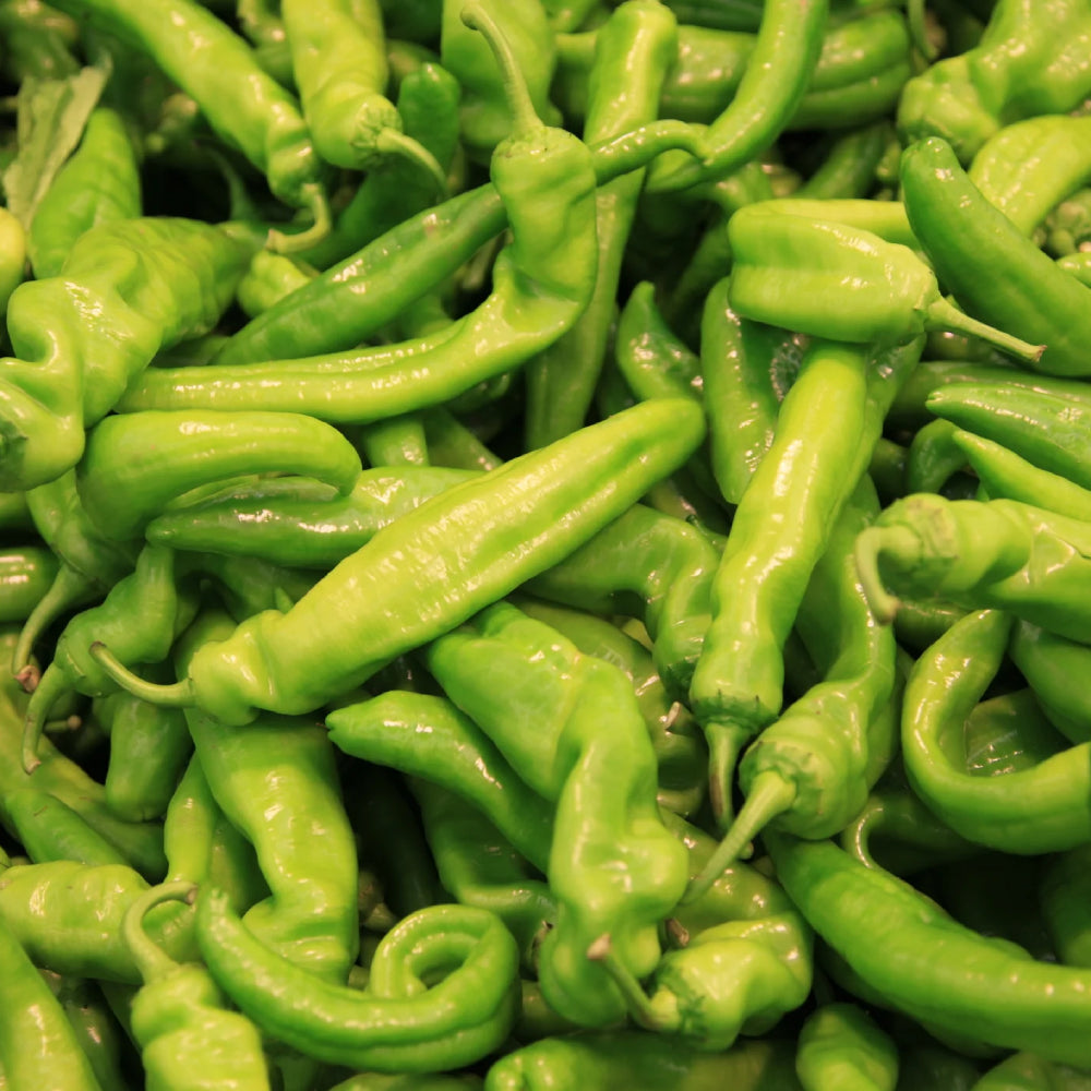 Pepperoncini Italian Sweet Pepper