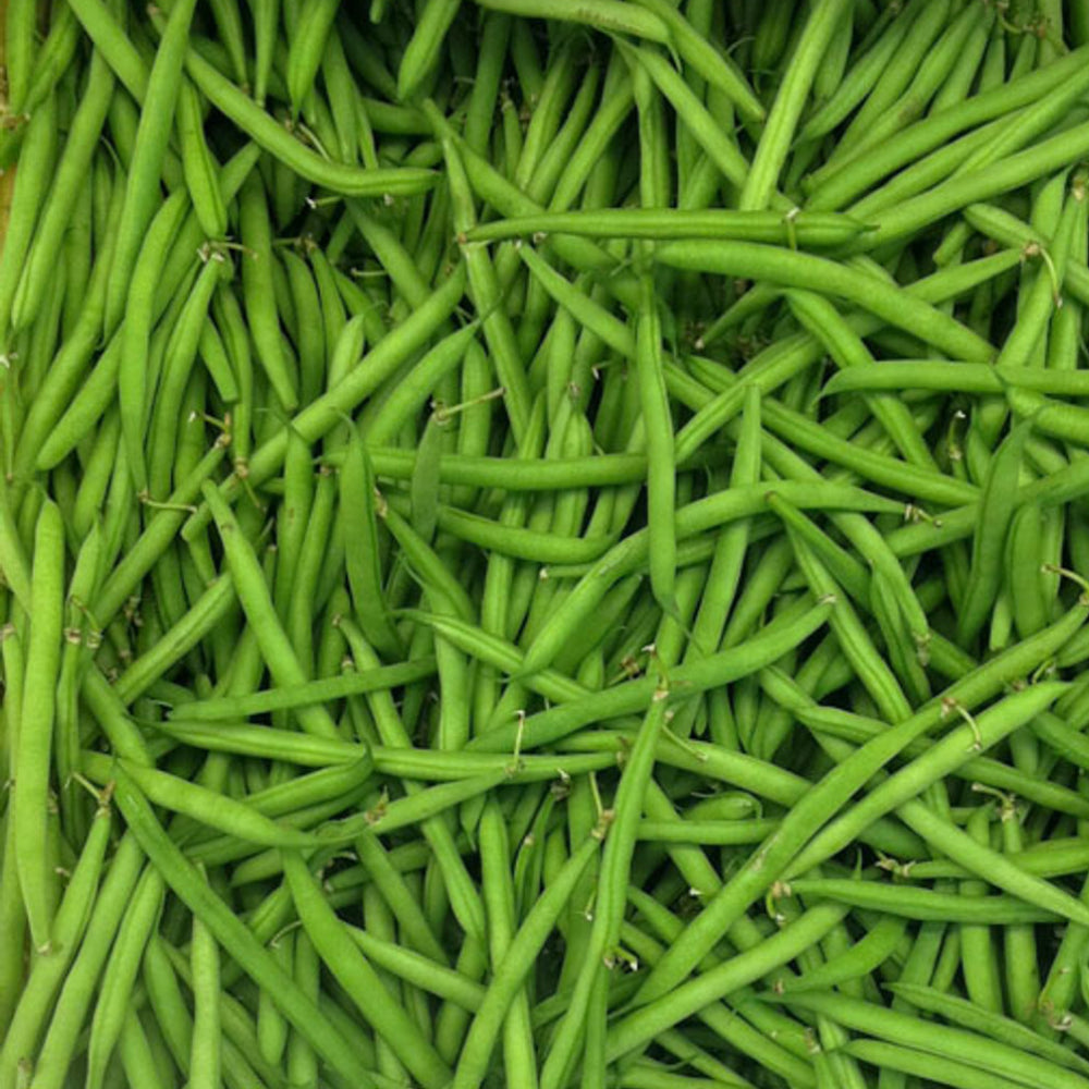 Petite Filet French Bean