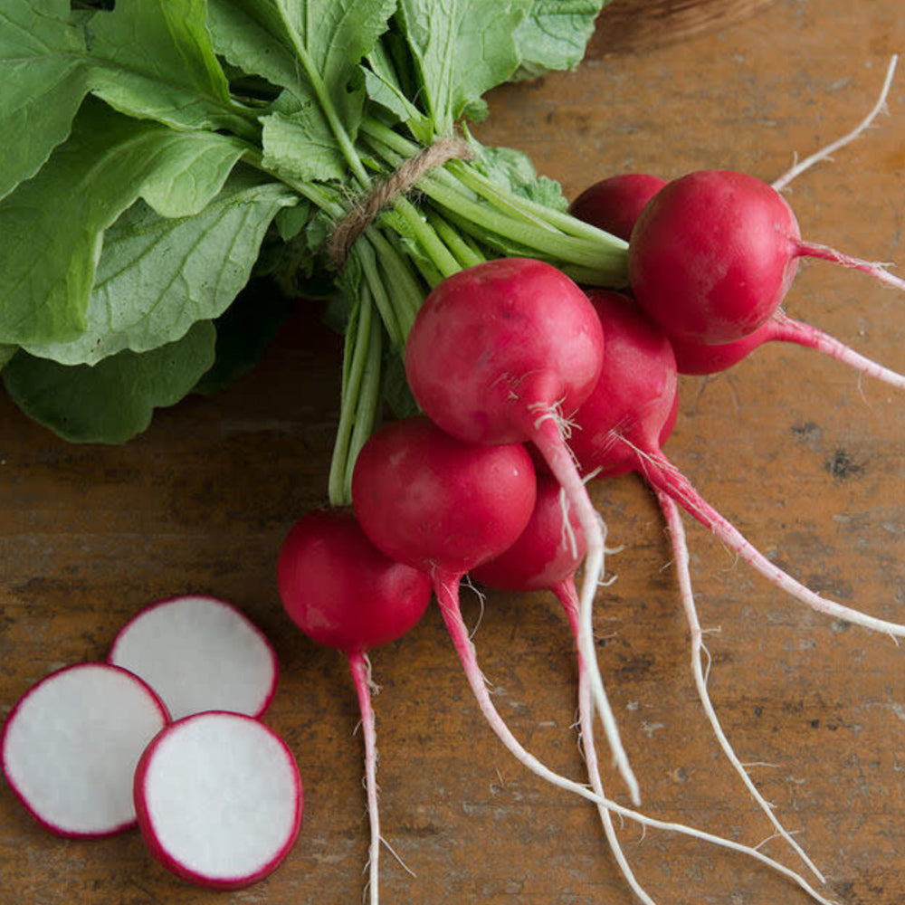 Radish Cherry Belle