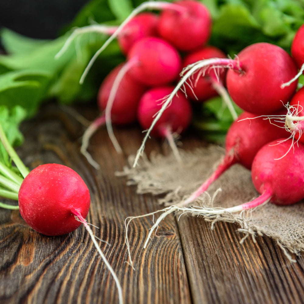 Radish Cherry Belle