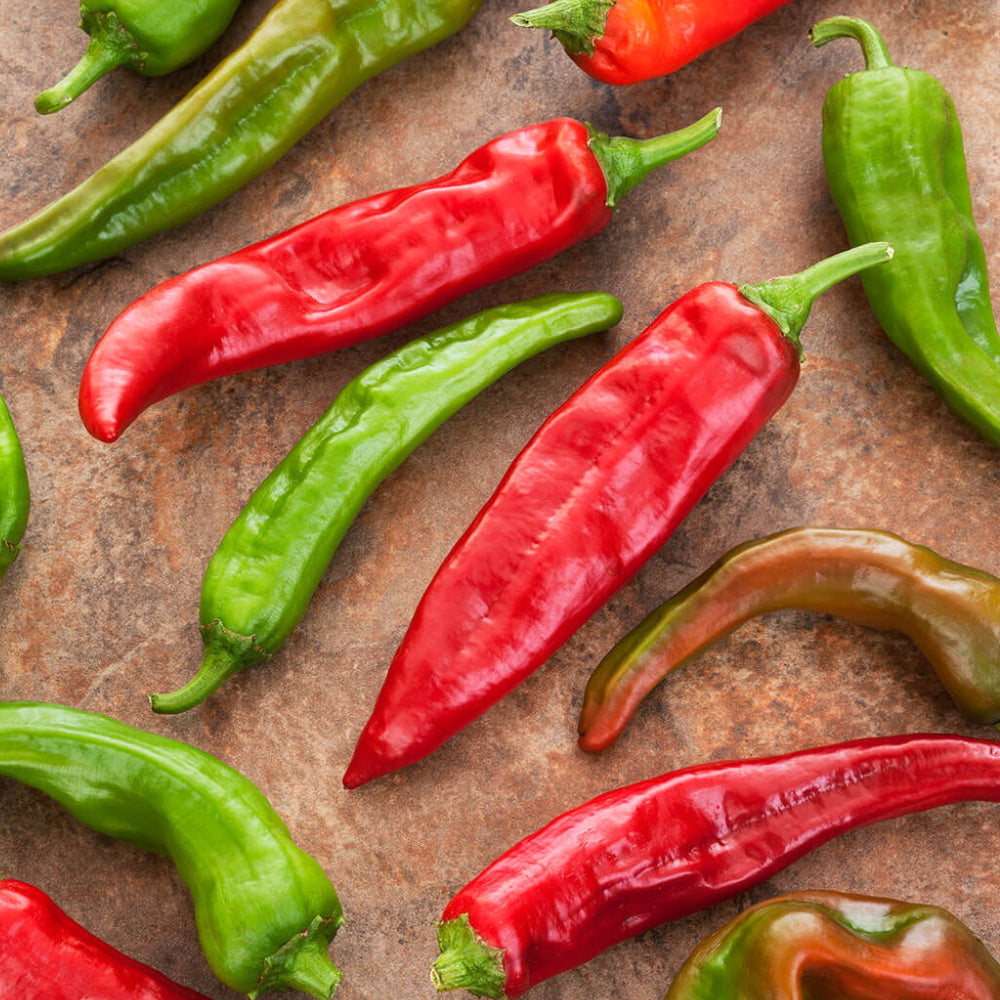 Sandia Hot Pepper